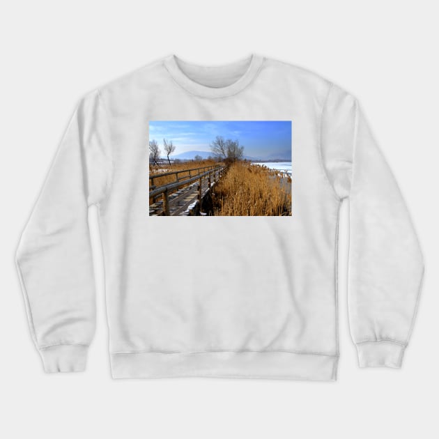 Winter Crewneck Sweatshirt by annalisa56